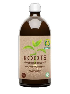 Roots 10 l bib